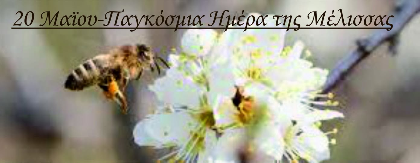Παγκόσμια ημέρα μέλισσας